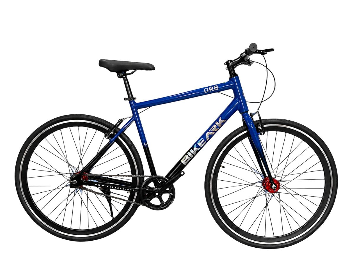 Bike Ark 700C Orb SS Bicycle
