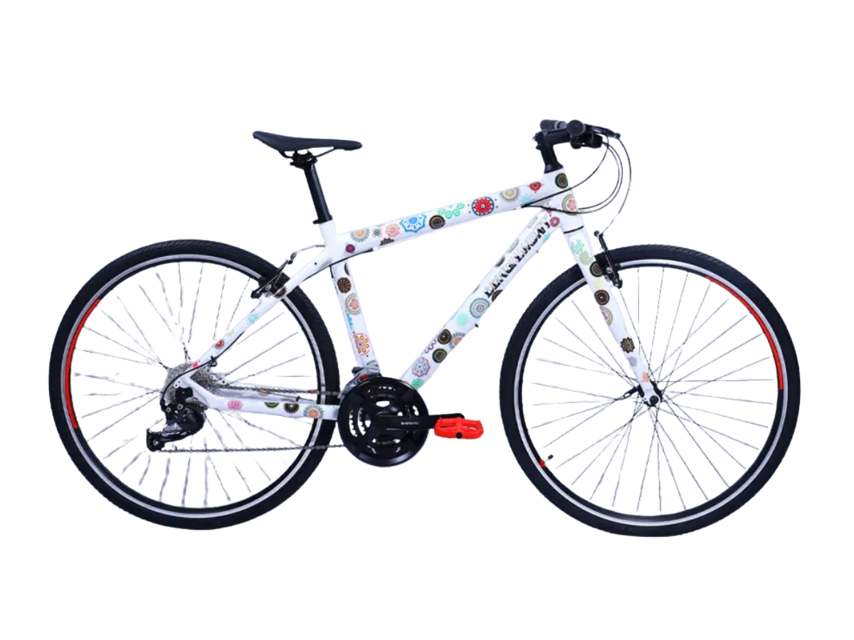 Bergamont 700C Sweep Revolution