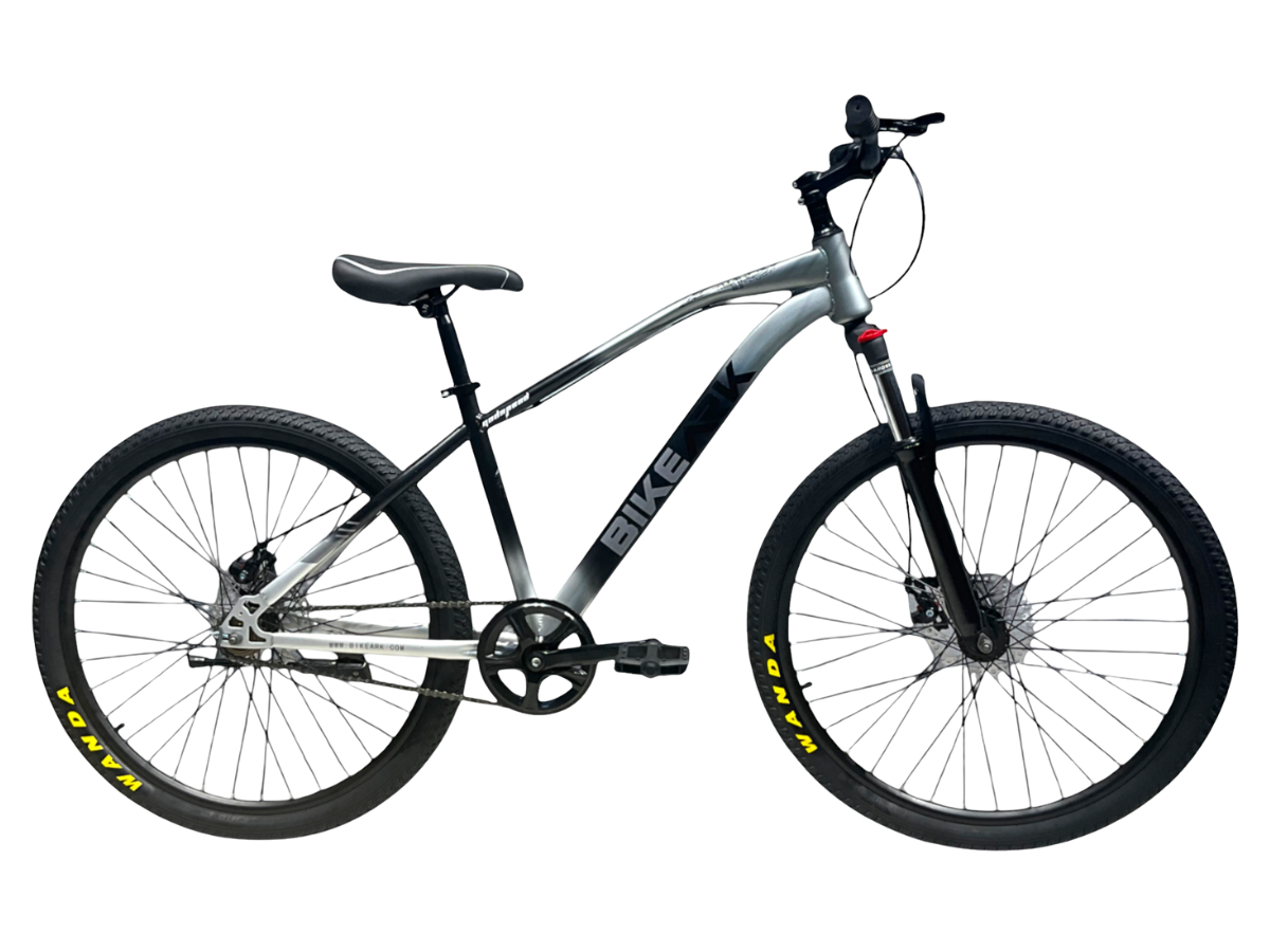 Bike Ark God Speed 29 SS Bicycle