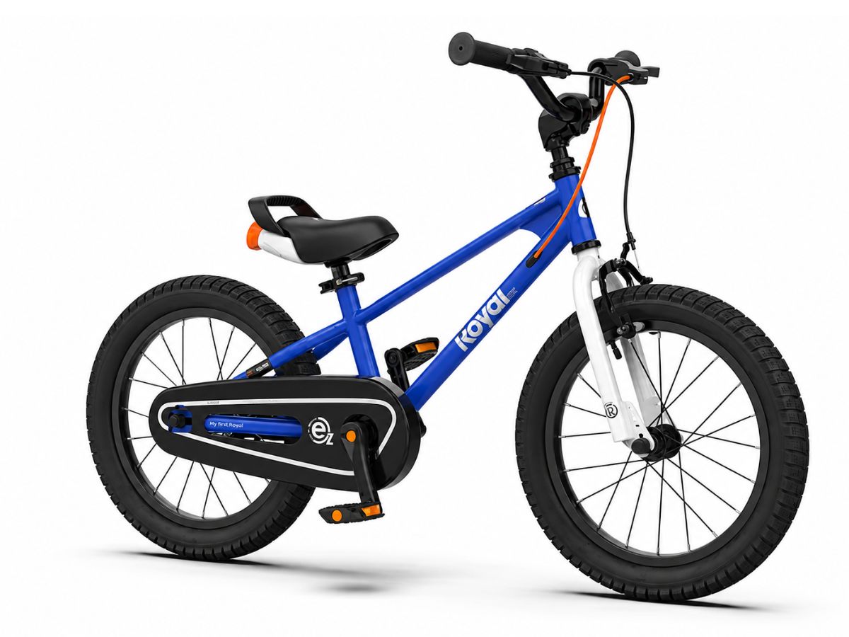 Royalbaby 18 EZ FreeStyle Bicycle