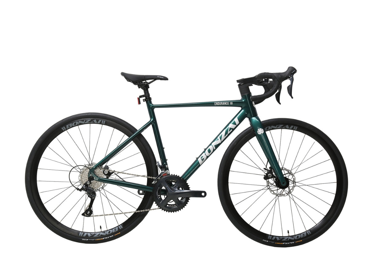 Bonzai Endurance 18 Road Bike