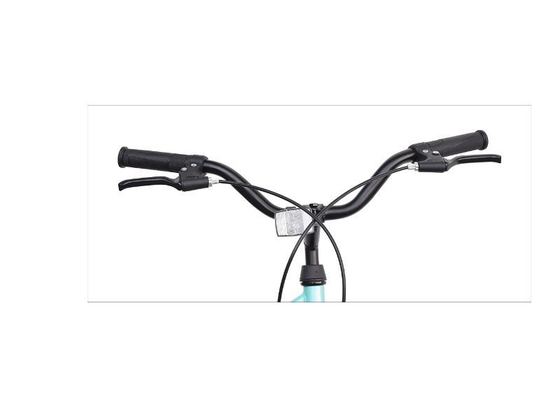 ASTRA 24 IRIS LADIES BICYCLE