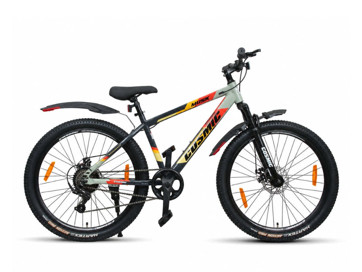 Cosmic 29 Musk FS SS D/Disc Bicycle