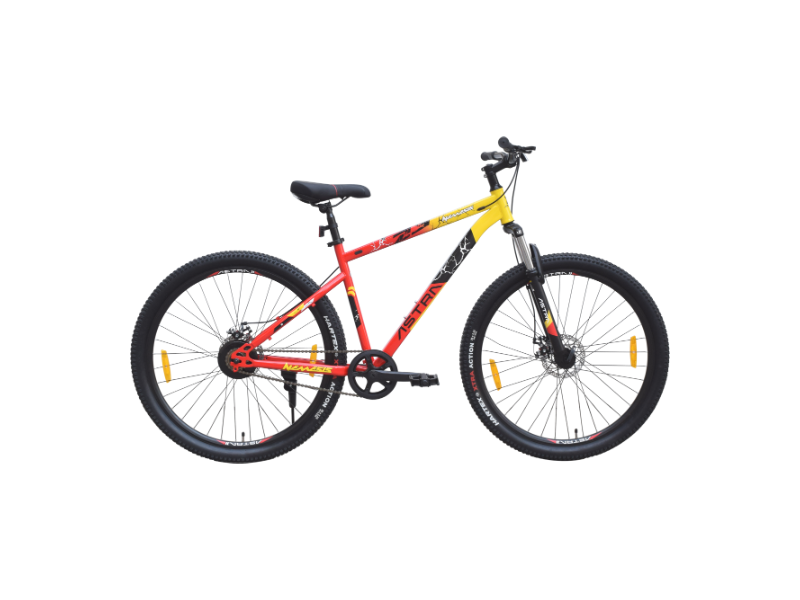 Astra 29 Nemesis SS FS DD Bicycle