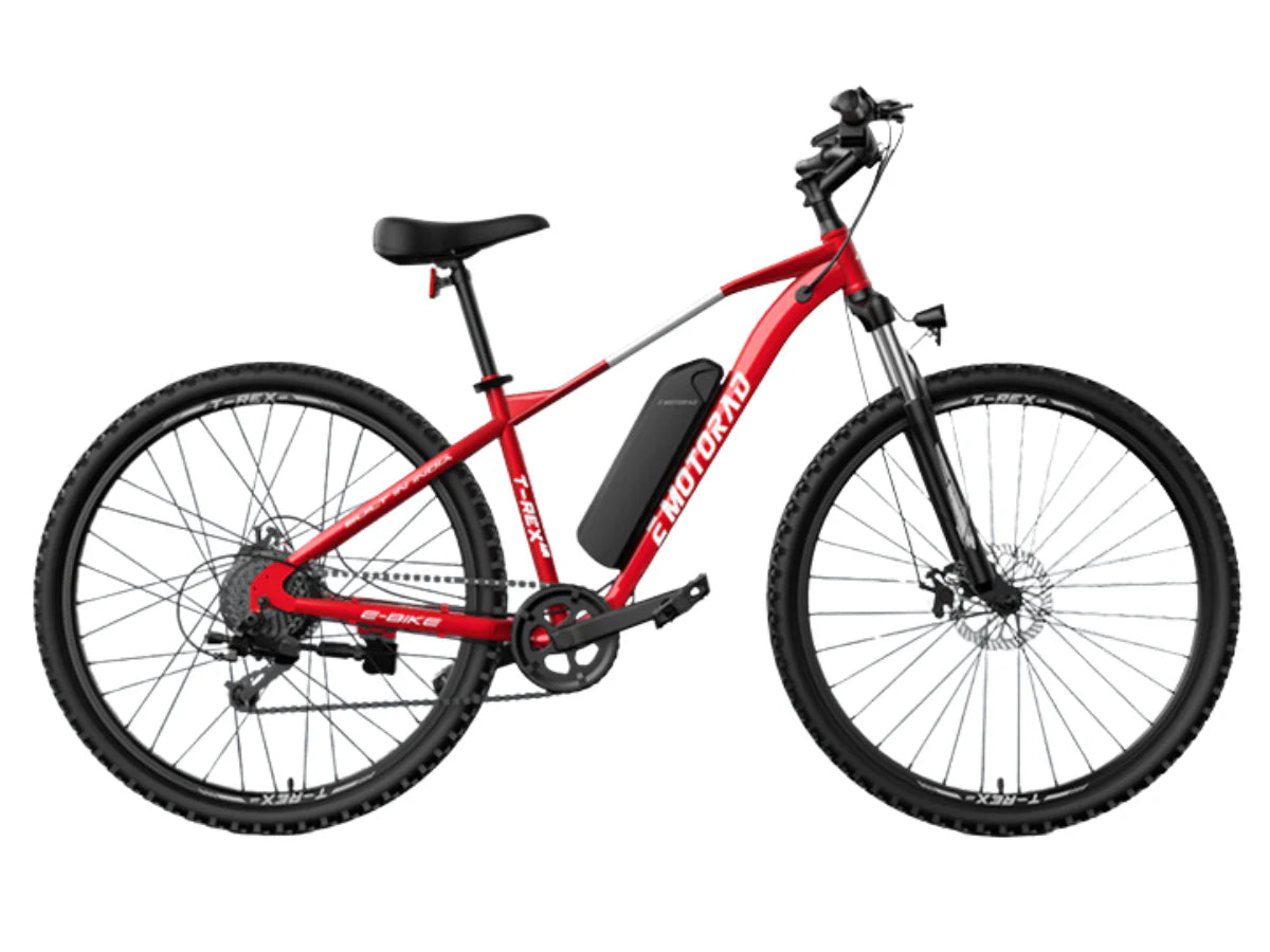 EMotorad 29 T-Rex Air E-Bicycle