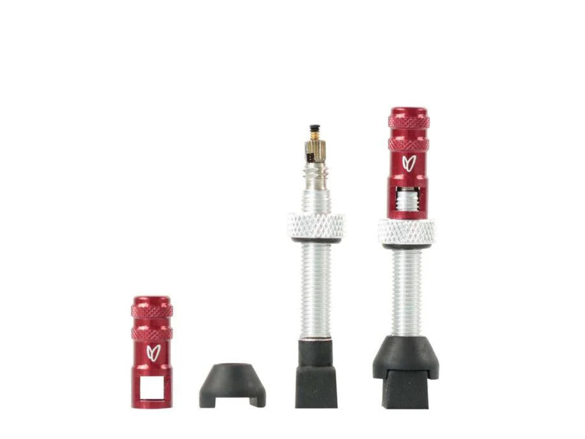 Effetto Marriposa Tubeless Valves (70mm)-Silver (Pack of 2)