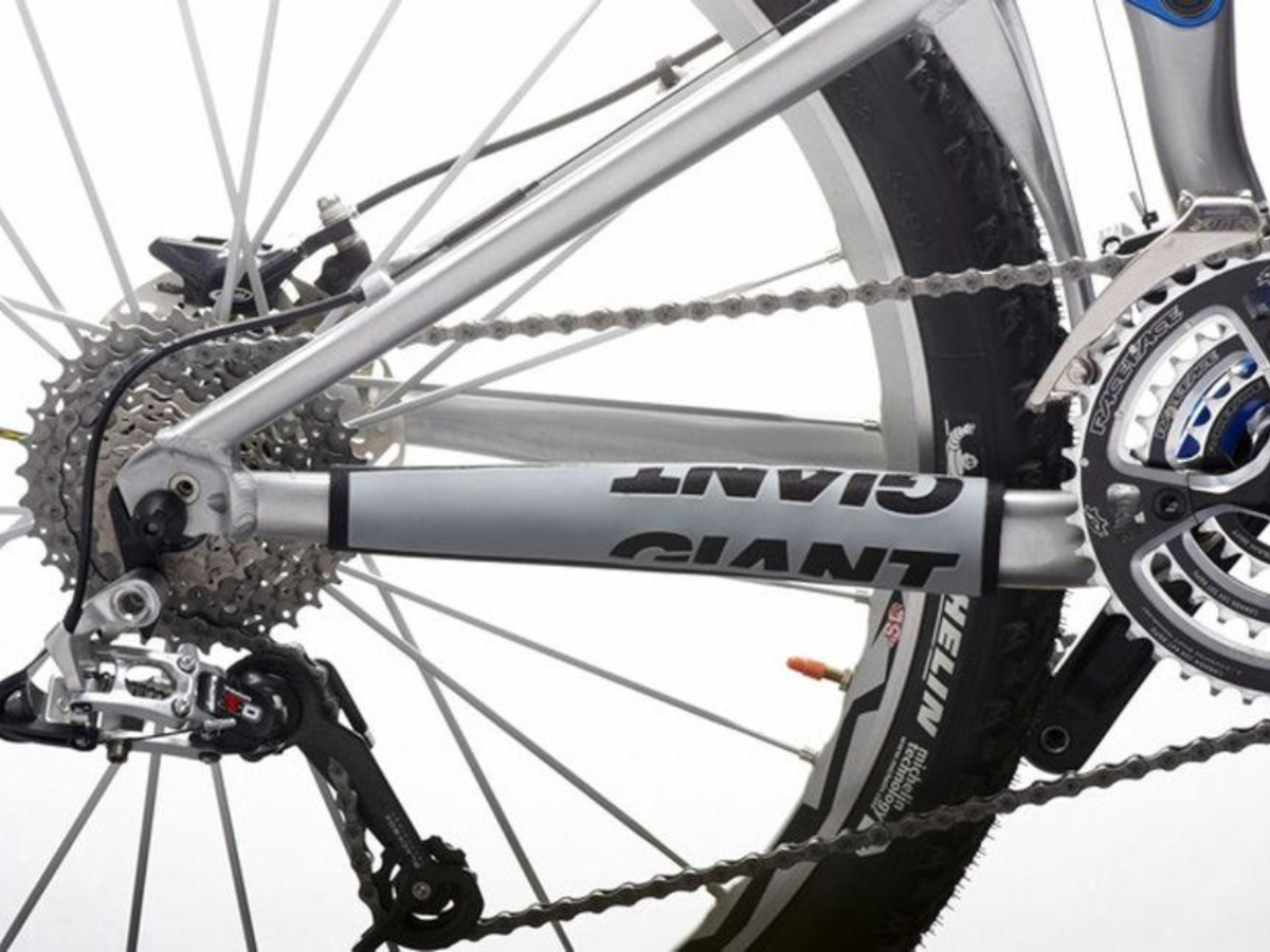 Giant Chainstay Protector