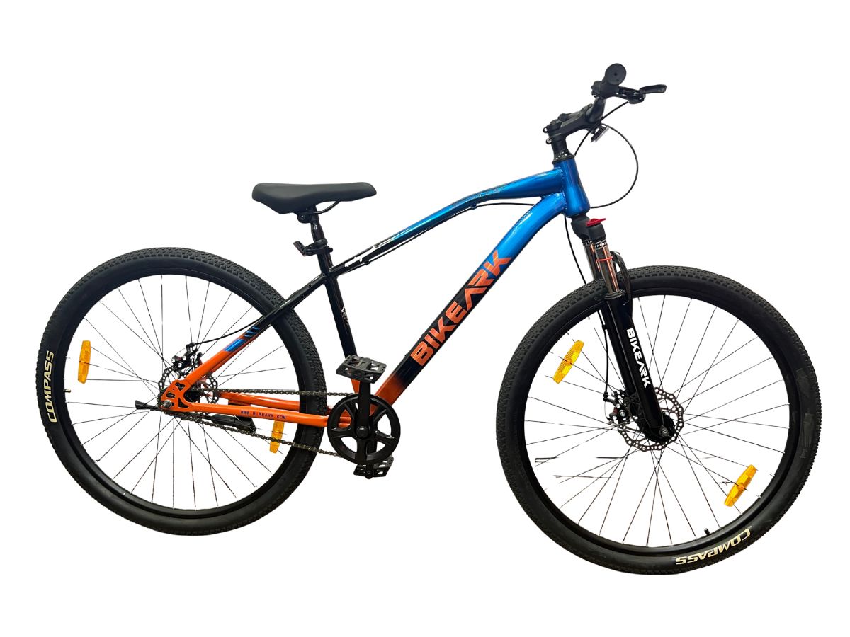Bike Ark God Speed 29 SS Bicycle