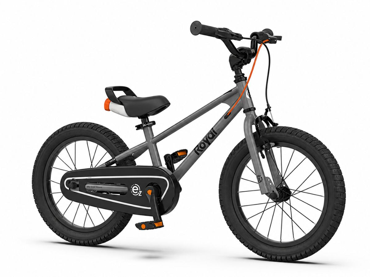 Royalbaby 18 EZ FreeStyle Bicycle