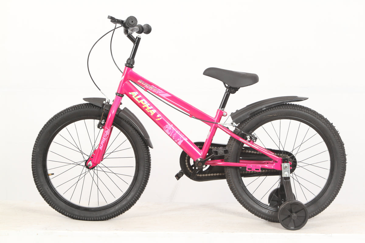 Ninetyone 20 Bucky Bicycle