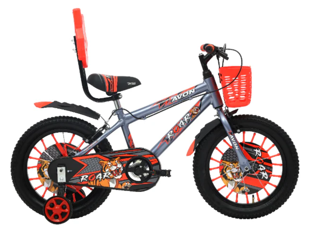 Avon 14 Roar Bicycle B Grey/Flor Red