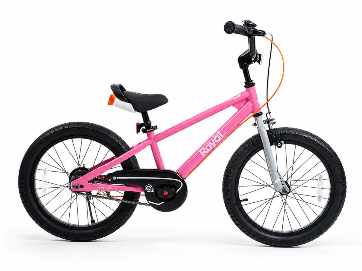 Royalbaby 18 EZ FreeStyle Bicycle