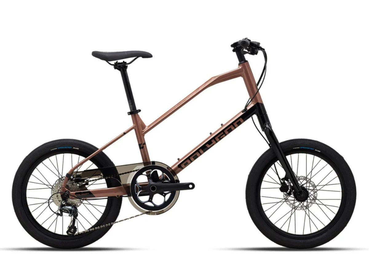 Polygon Zeta 2