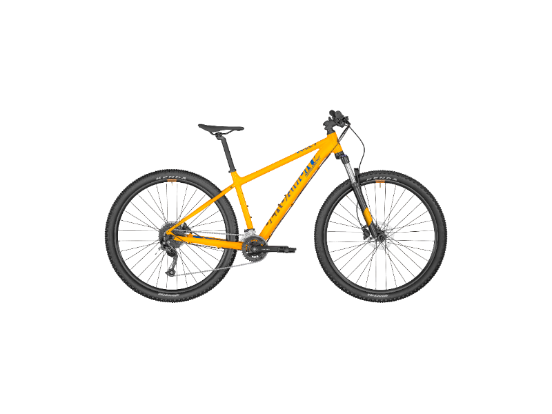 Bergamont 29 REvoX 4 Bicycle