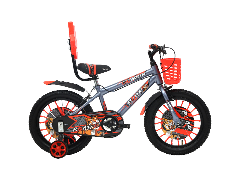 Avon 14 Roar Bicycle B Grey/Flor Red