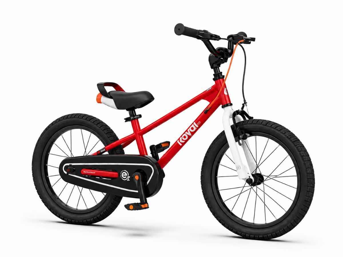 Royalbaby 18 EZ FreeStyle Bicycle