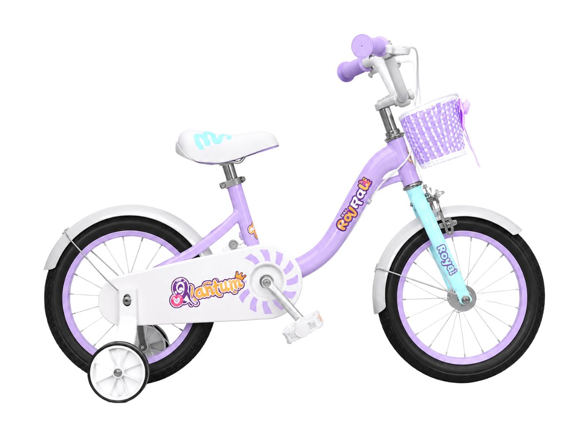 Royalbaby 18 Lolipop MM Bicycle
