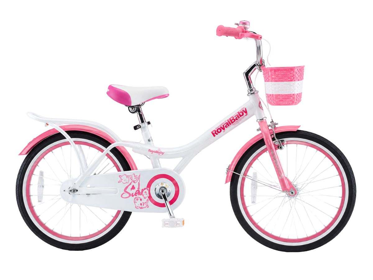 Royalbaby 20 Jenny Bicycle