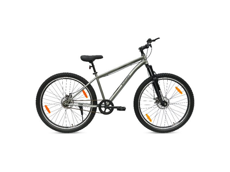 Stryder 29 Kolors Shadow D/Disc Bicycle