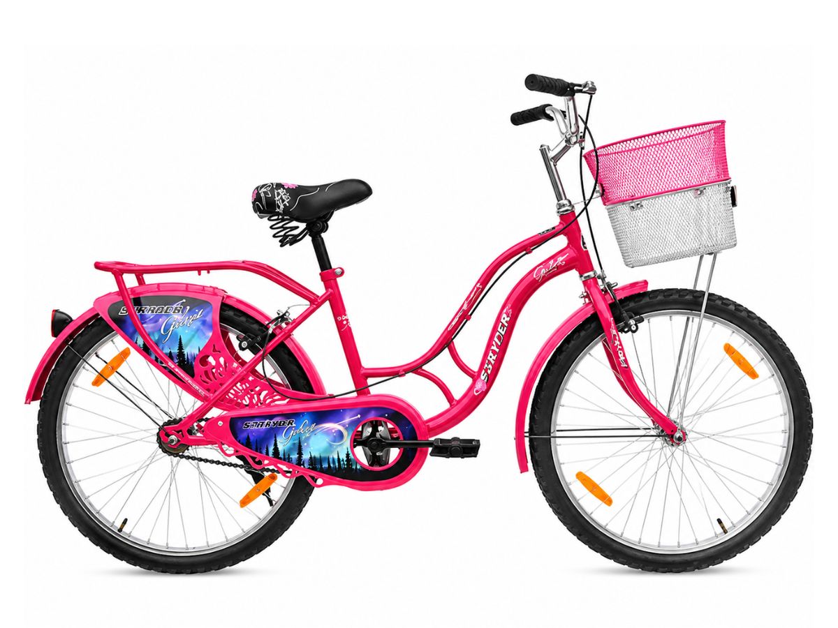 Stryder 24 Galaxia IC Bicycle