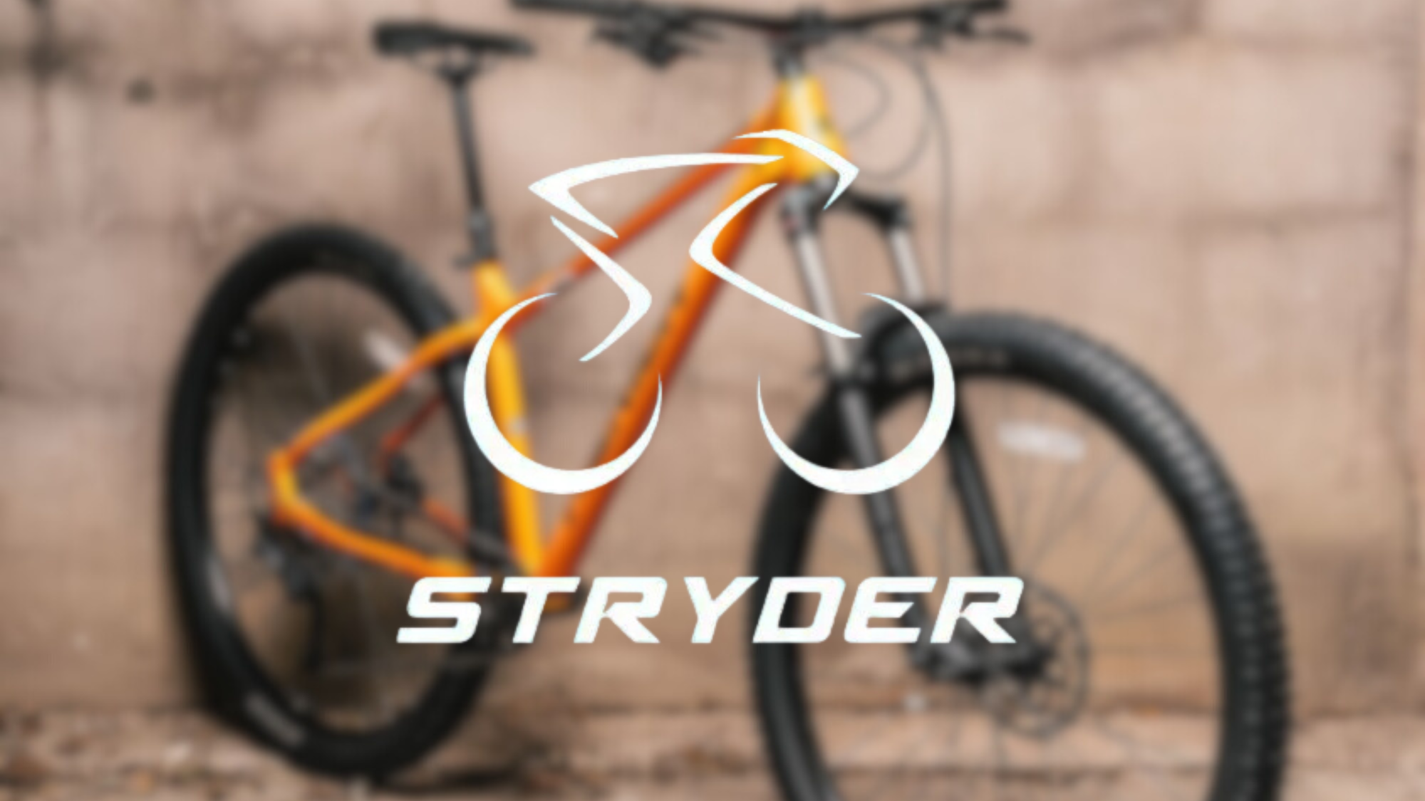 ABOUT STRYDER