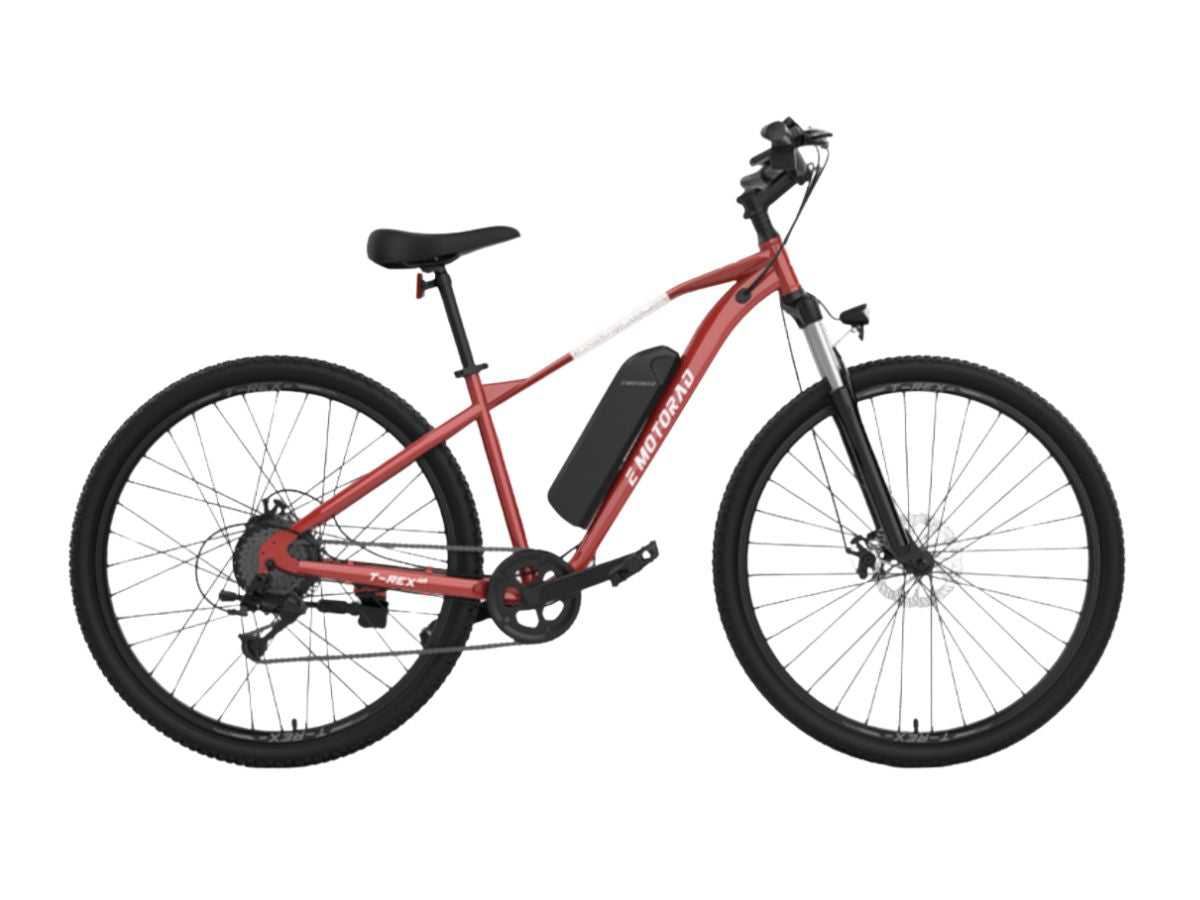 EMotorad 29 T-Rex Air E-Bicycle