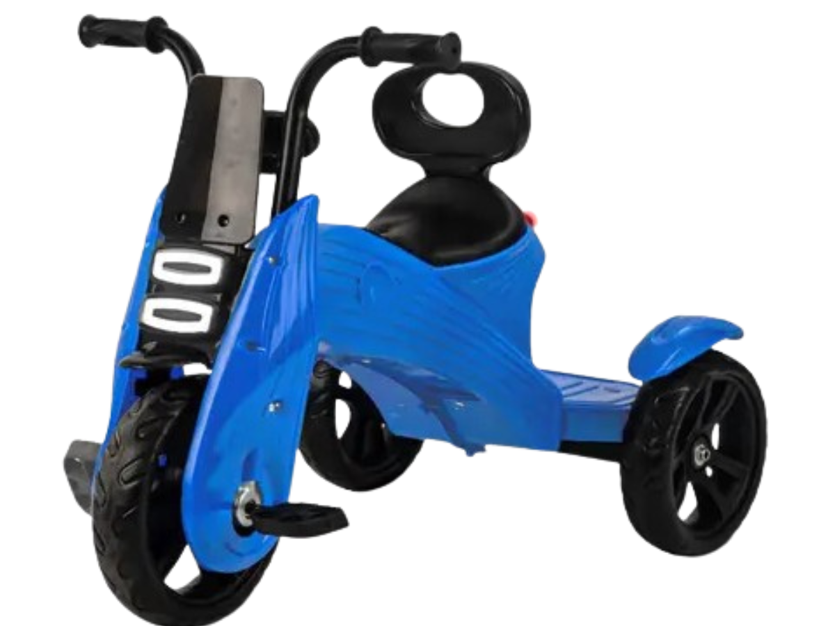 PANDA N-TORQUE MUSICAL TRICYCLE
