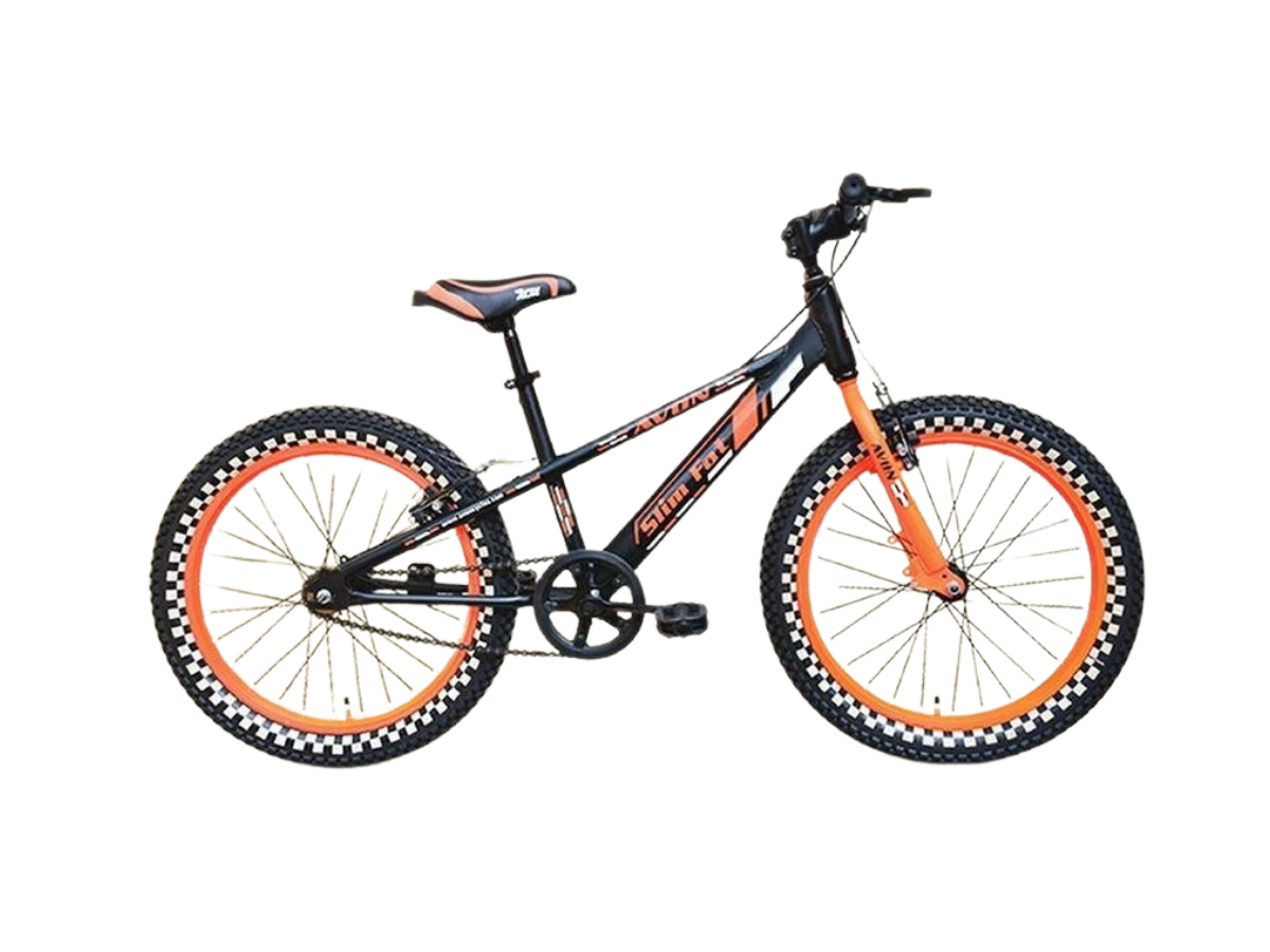 Avon 16 Slim Fat Bicycle
