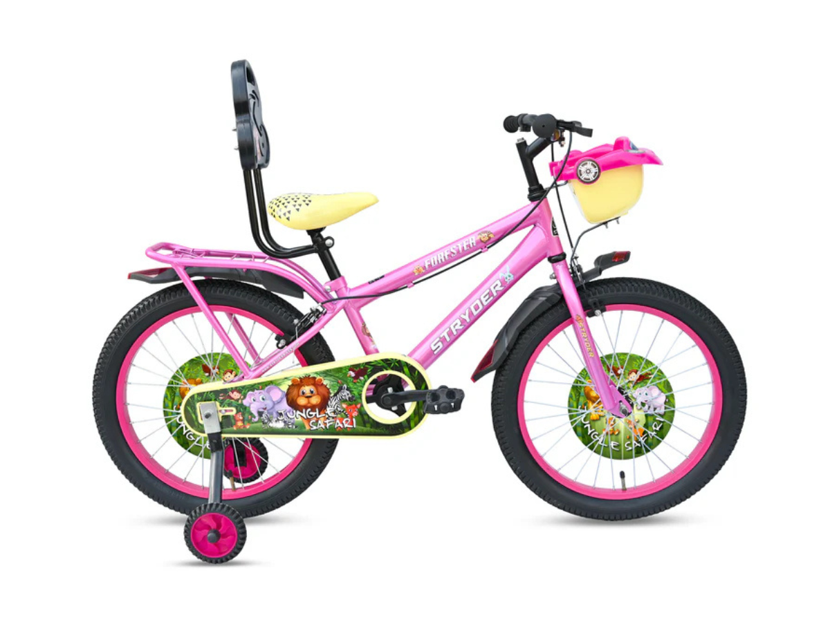 Stryder 20 Forester Bicycle