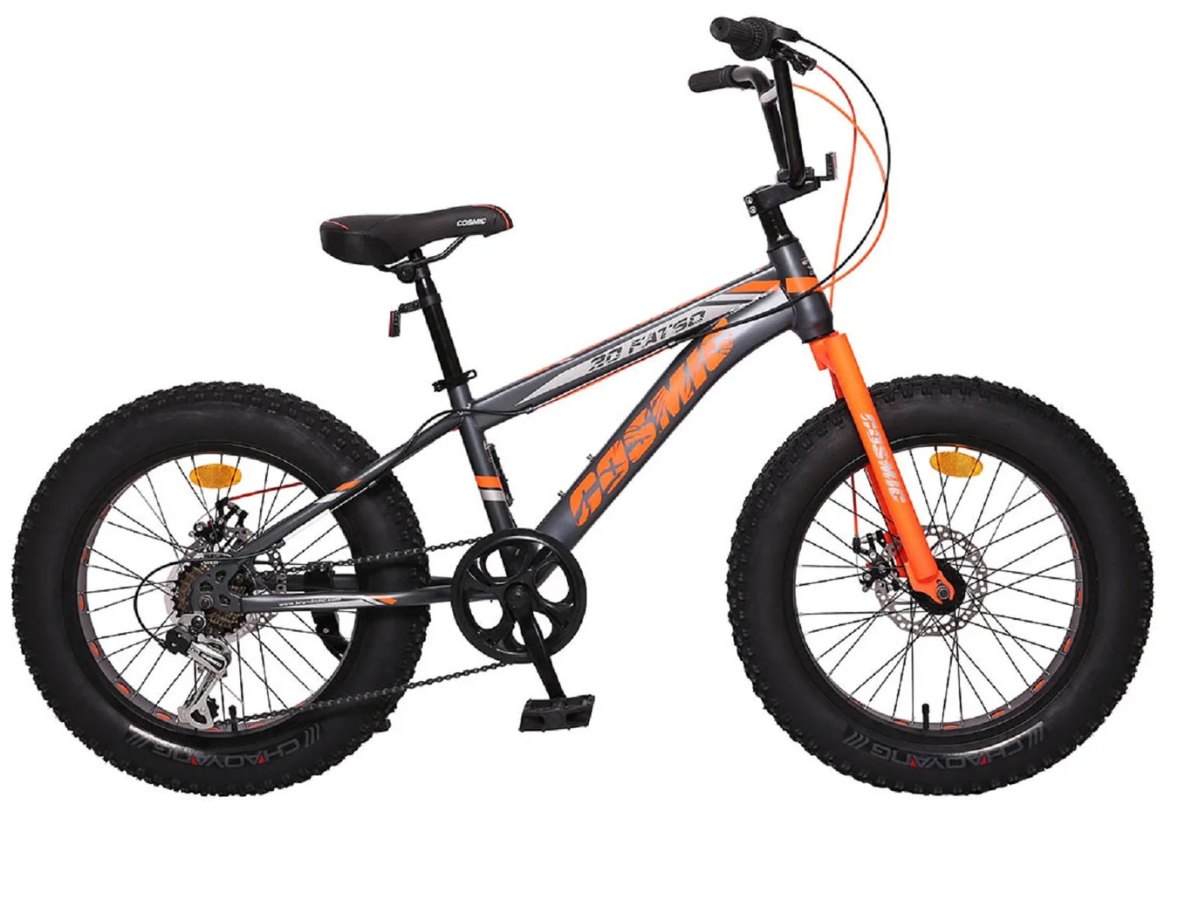 Cosmic 20 Fatso 7 Spd Bicycle