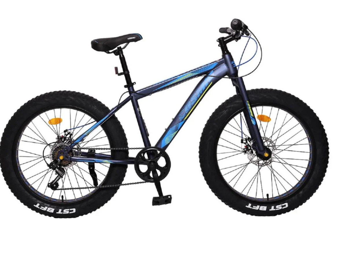 Cosmic 24 Fatso 7 Spd Disc Bicycle