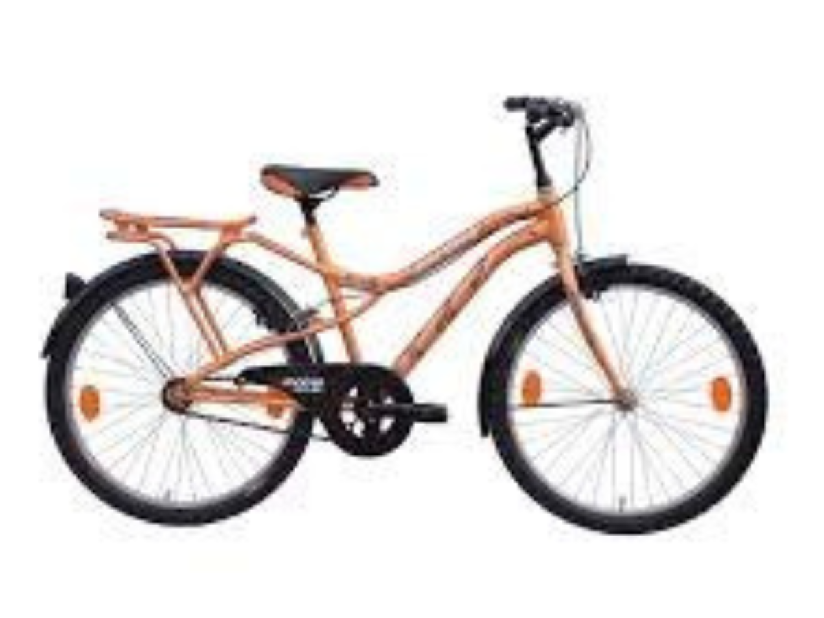 Avon 24 Myles IBC Bicycle