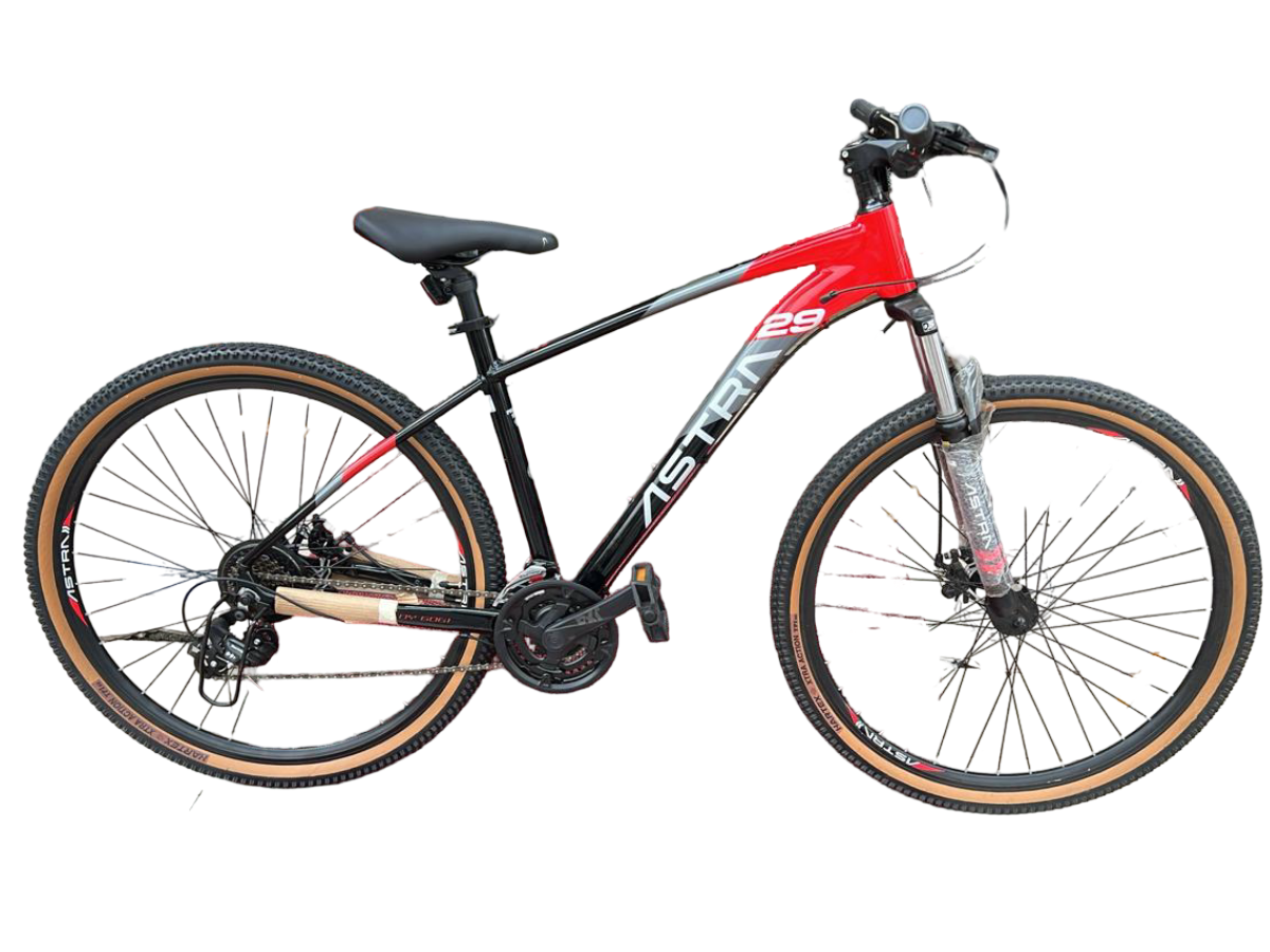 Astra 29 Bolt 21 spd FS D/Disc Bicycle