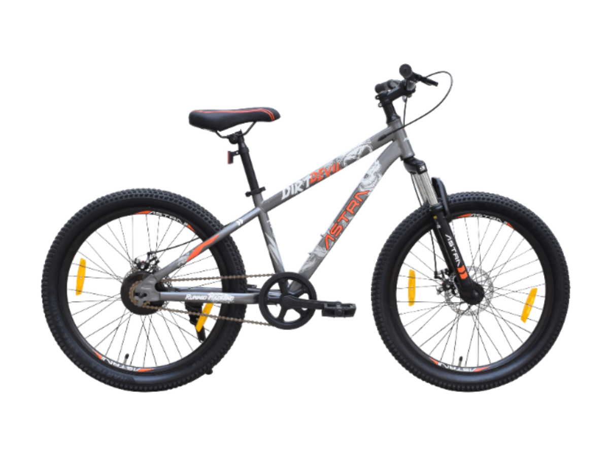Astra 24 Dirt Devil Bicycle