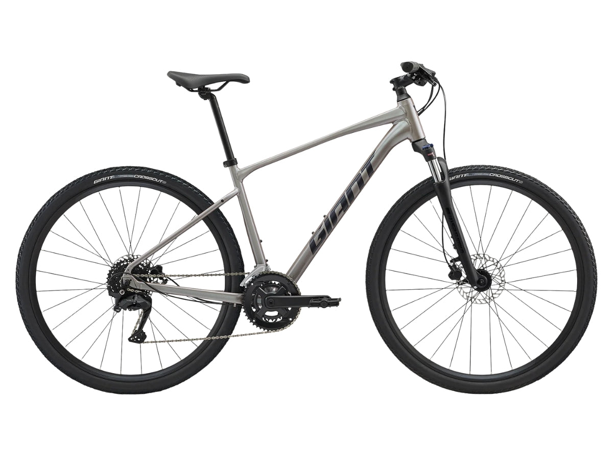 Giant Roam 3 Bicycle