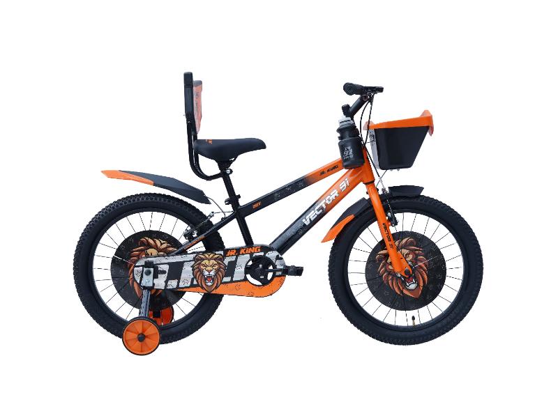 Ninetyone 20 JR King Bicycle