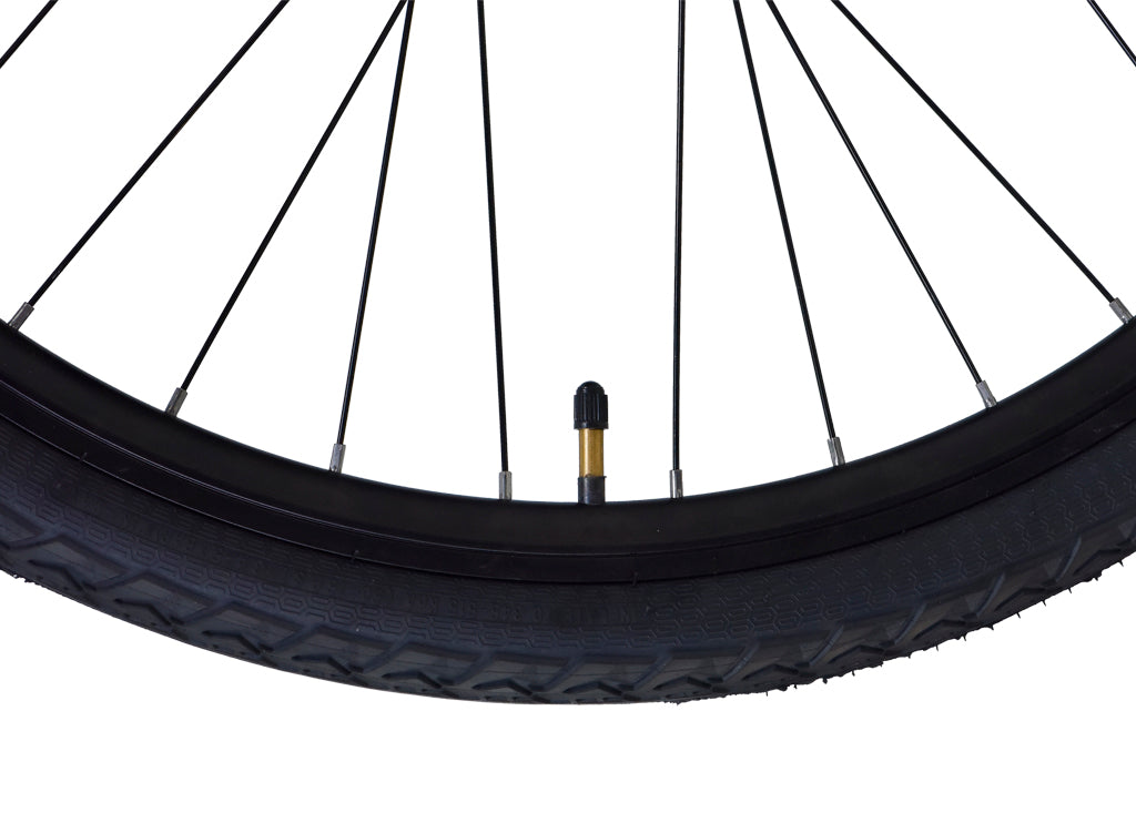 Firefox 700C Pronto D/Disc Single Speed Bicycle