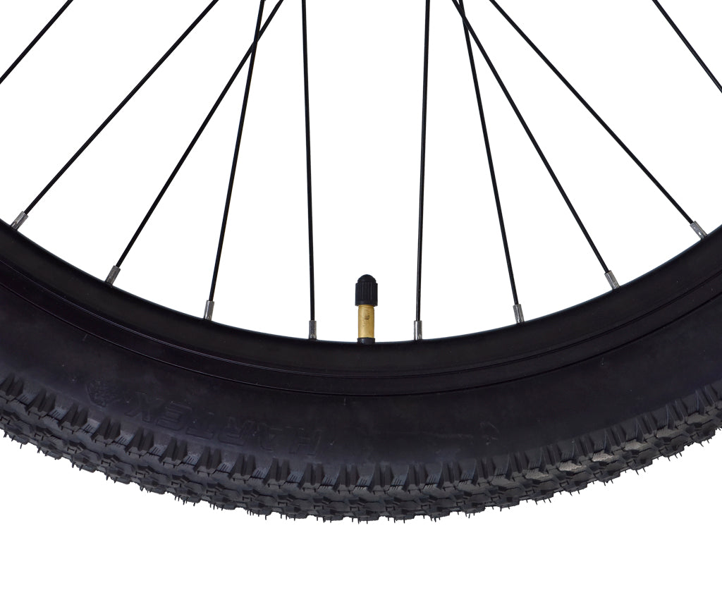 Firefox 27.5 Mountana 21 Speed D/Disc Bicycle