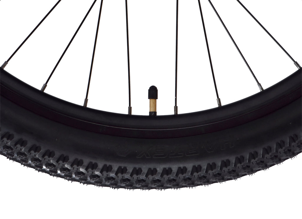 Firefox 27.5 Tremor 21 Speed D/Disc Bicycle