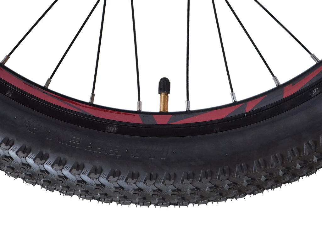 Firefox 24 Tremor X D Single SpeedP Bicycle