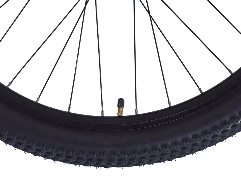 Firefox 29 Dominator 21 Speed D/Disc Bicycle