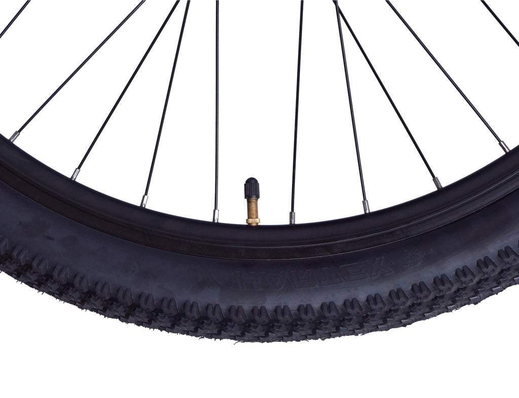 Firefox 29 Tremor Single Speed D/Disc Bicycle