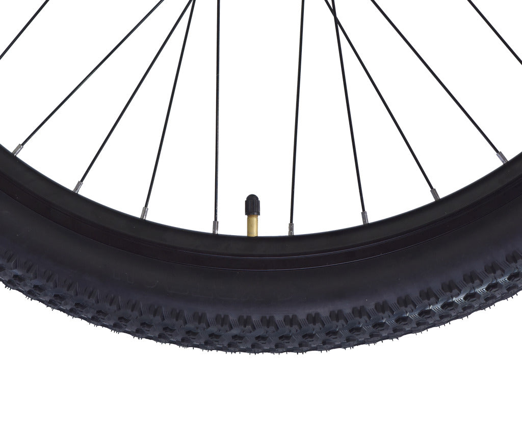 Firefox 29 Tremor 21 Speed D/Disc Bicycle