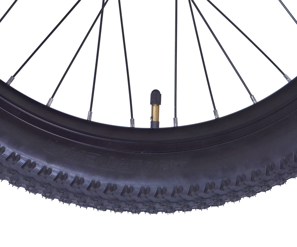 Firefox 24 Dominator 21 Speed D/Disc Bicycle