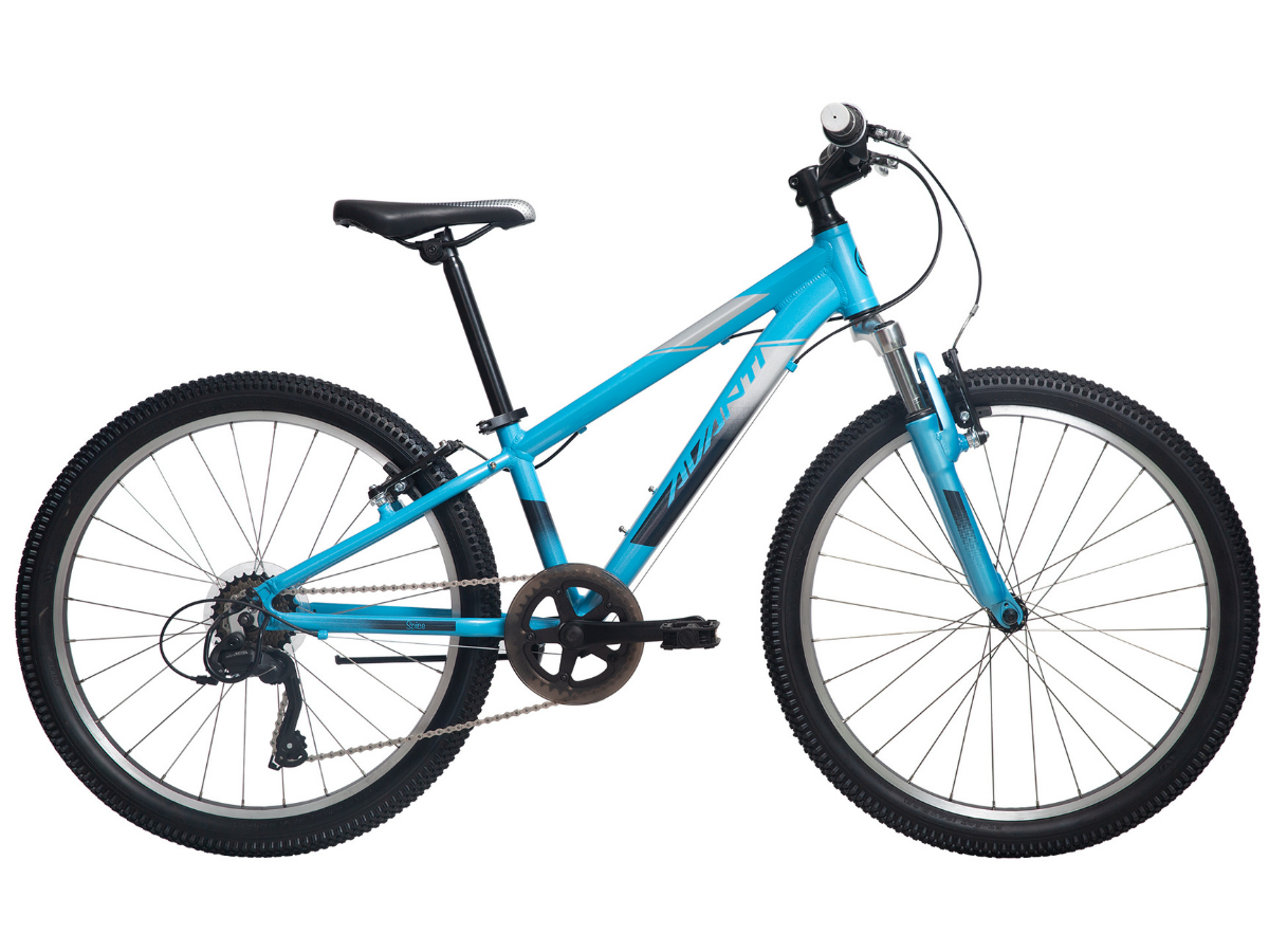 Avanti 24  Spice 7 Spd Bicycle