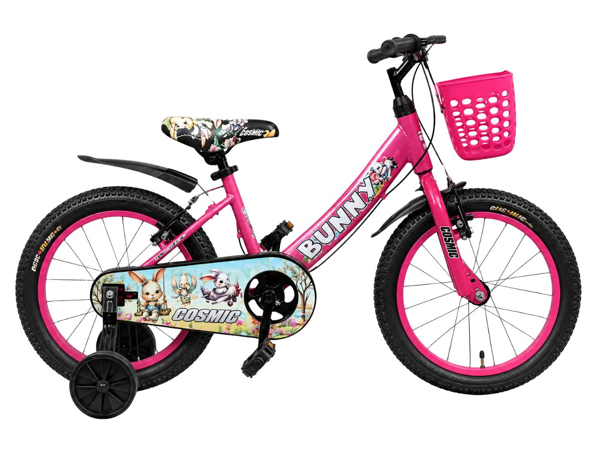 Cosmic 16 Bunny Bicycle