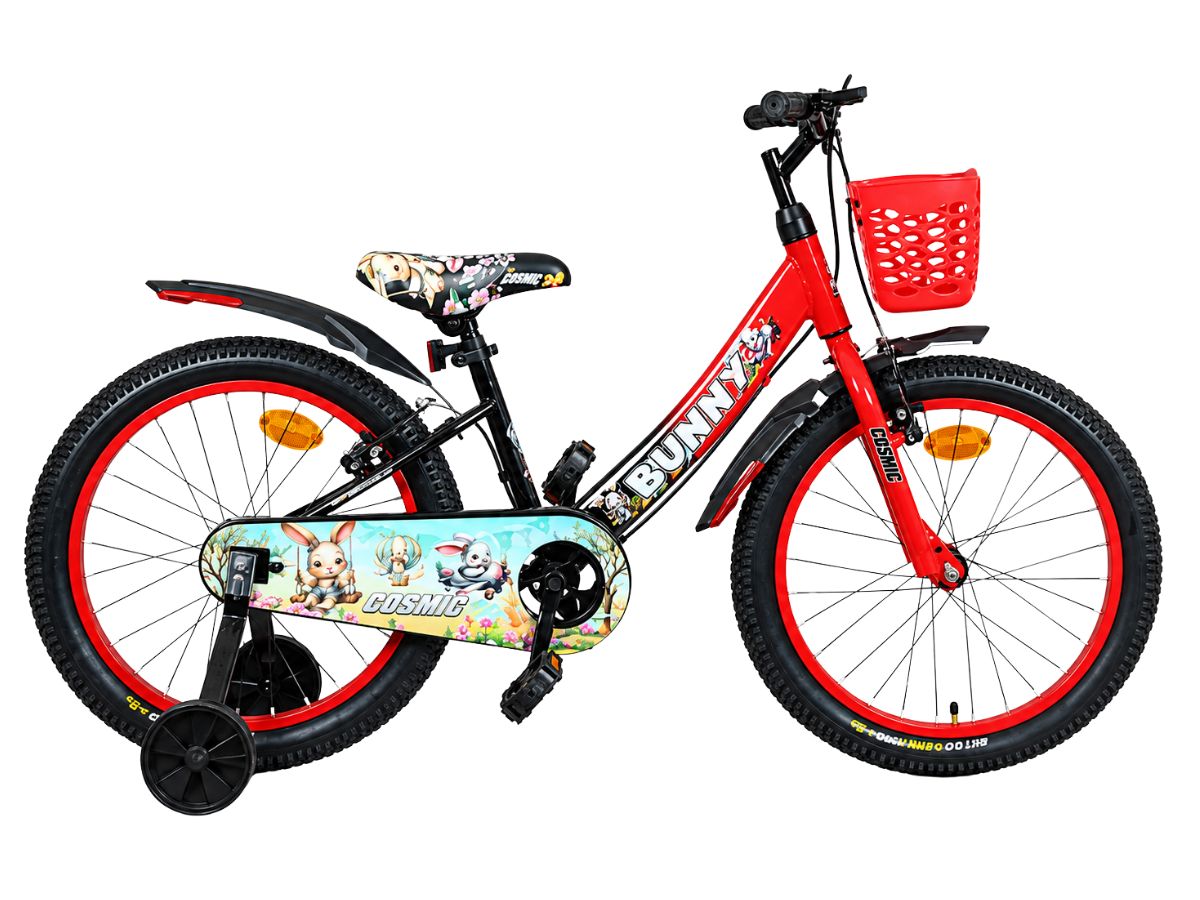 Cosmic 16 Bunny Bicycle