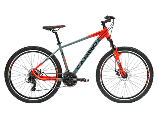 CAMBIO 29 MILAN 21 SPD