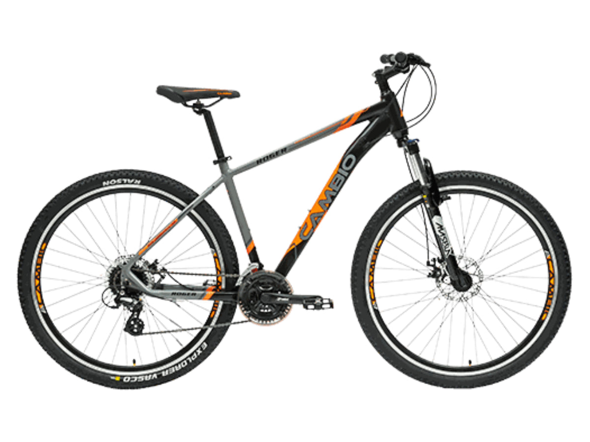 Cambio 29 Roger 24 Speed D/Disc Bicycle