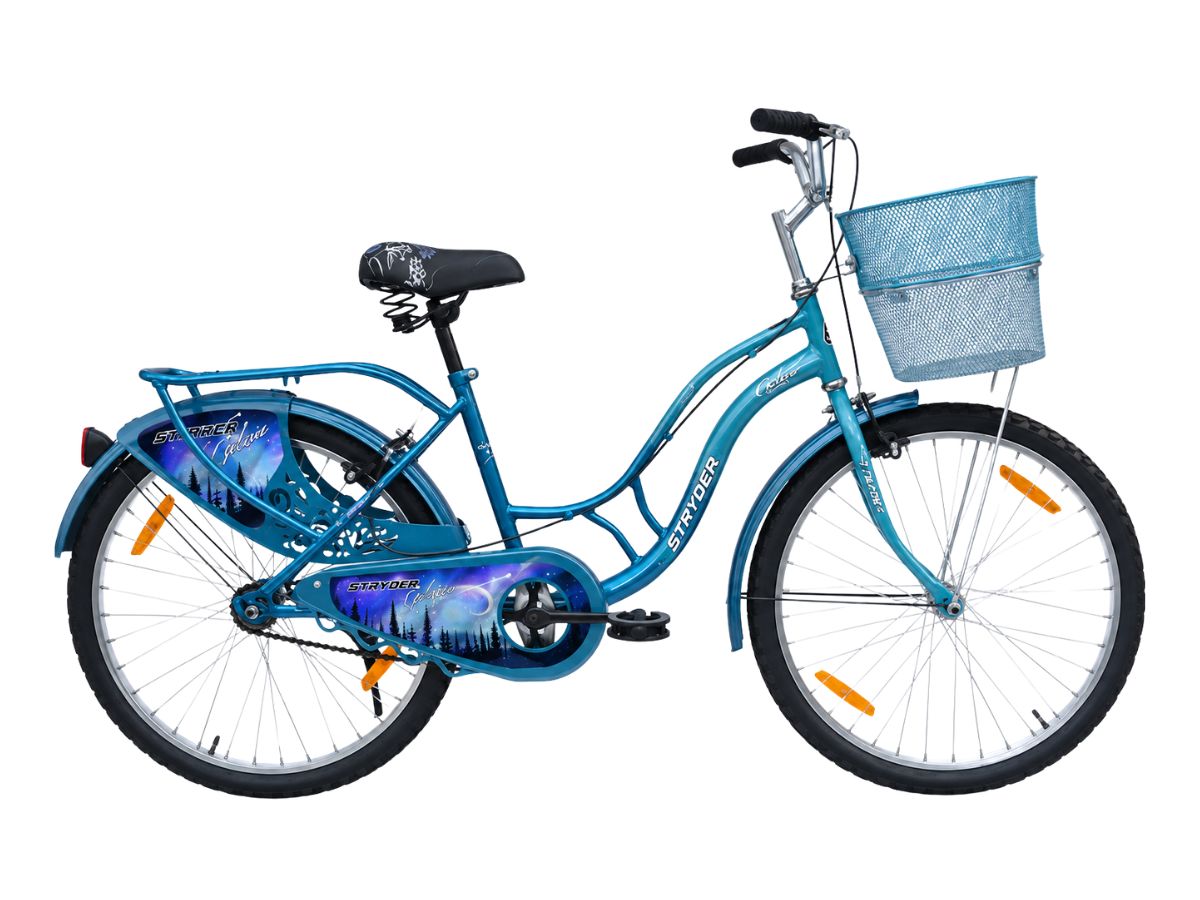 Stryder 24 Galaxia IC Bicycle